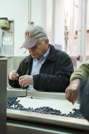 Our Winemaker, Todd Heth